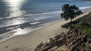 Una playa con vista despejada al océano, una orilla arenosa y un árbol a la derecha.
