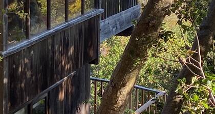 Classic California Central Coast Cabin overlooking the ocean on 20 wooded acres