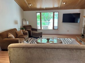 Smart TV, fireplace, books