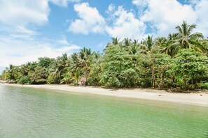 A beach with clear water and dense tropical vegetation.