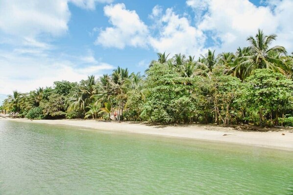 A beach with clear water and dense tropical vegetation.