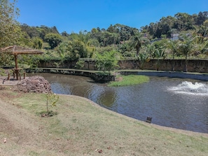 Lake