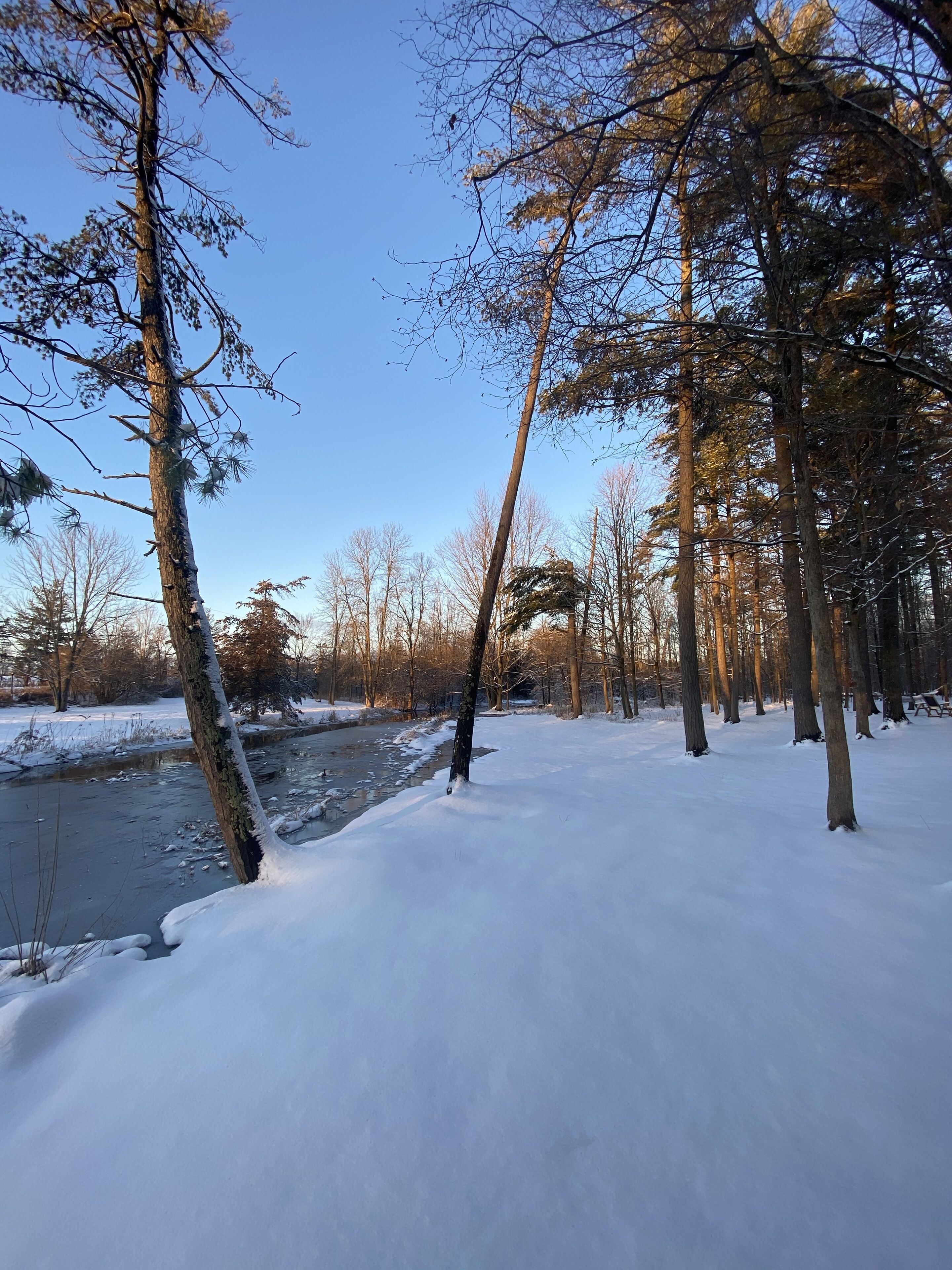 A snow-covered landscape with a river and trees.