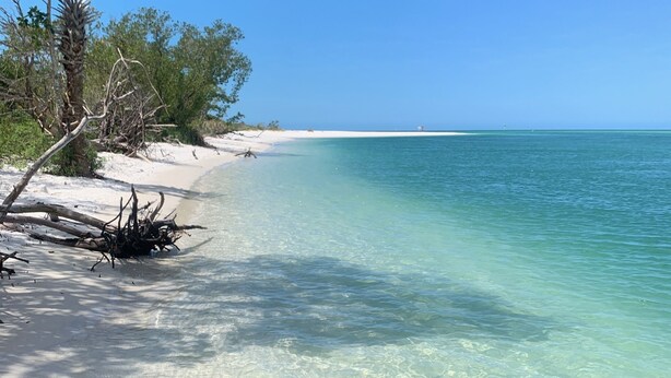 A clear beach with shallow water, sandy shore, and sparse vegetation. - Private heated pool & spa home. Close to beach! (Naples)