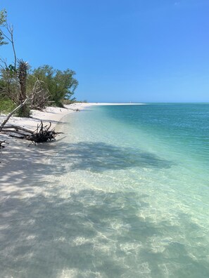 A clear beach with shallow water, sandy shore, and sparse vegetation. - Private heated pool & spa home. Close to beach! (Naples)