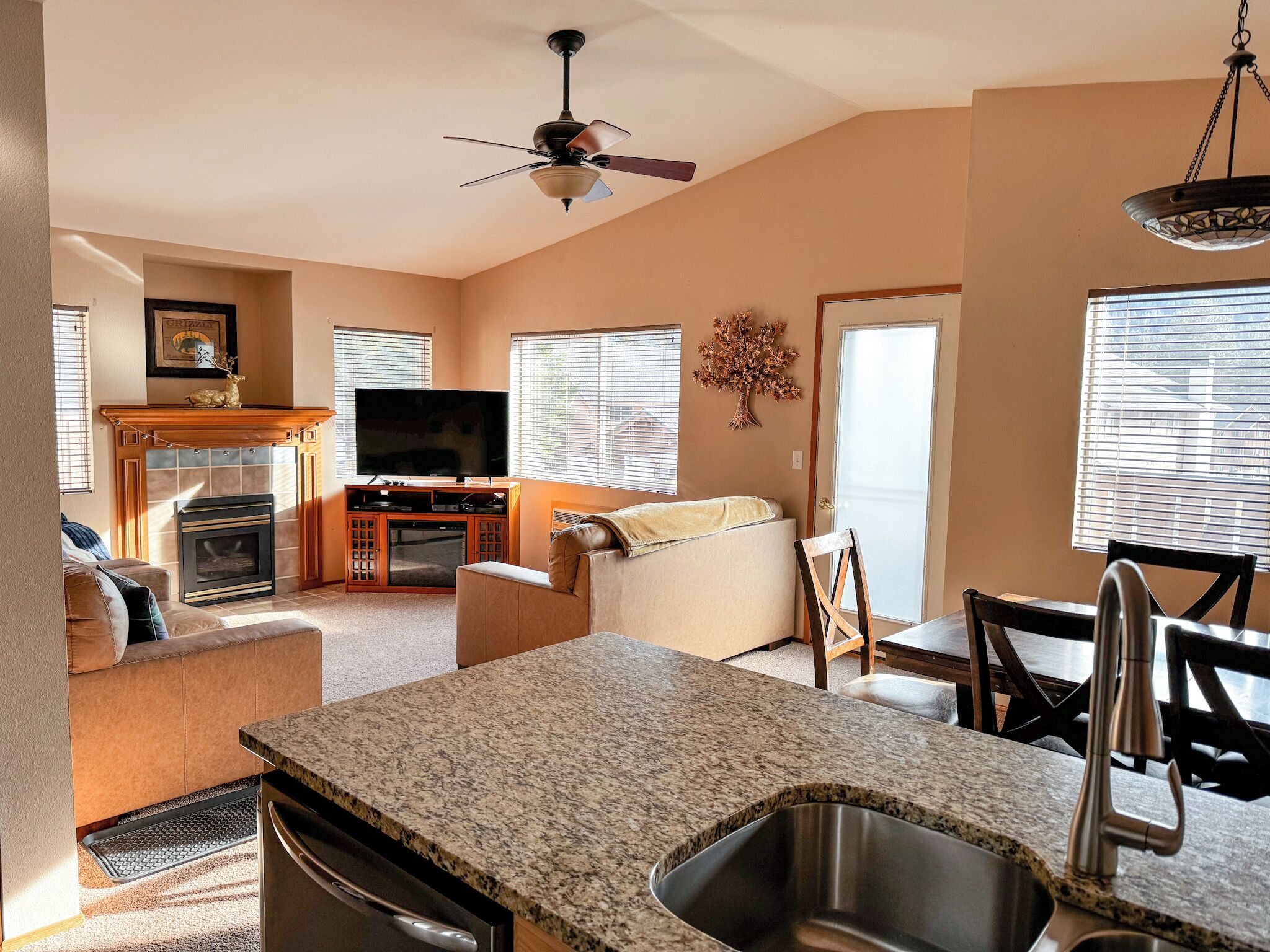 TV, fireplace, DVD player