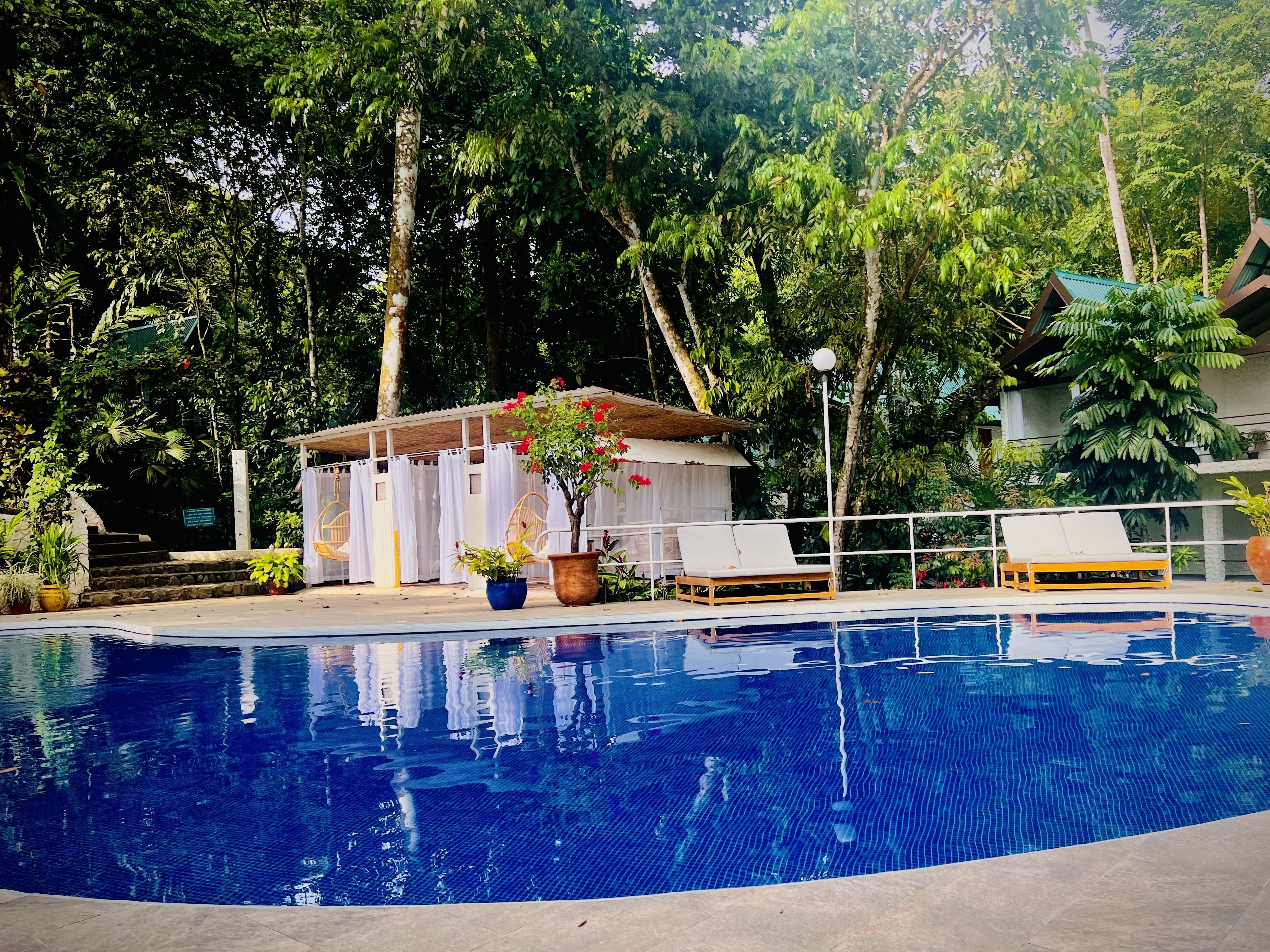 A swimming pool with lounge chairs and potted plants, surrounded by trees.