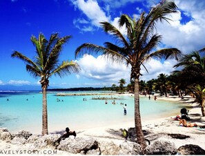 A beach with palm trees, clear turquoise water, and people swimming. - OCEAN DREAM (Sainte-Anne)