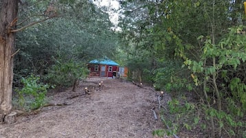 Ulkopuoli