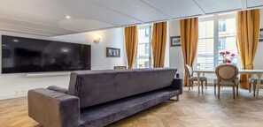 TV connectée, cheminée, lecteur de DVD, livres