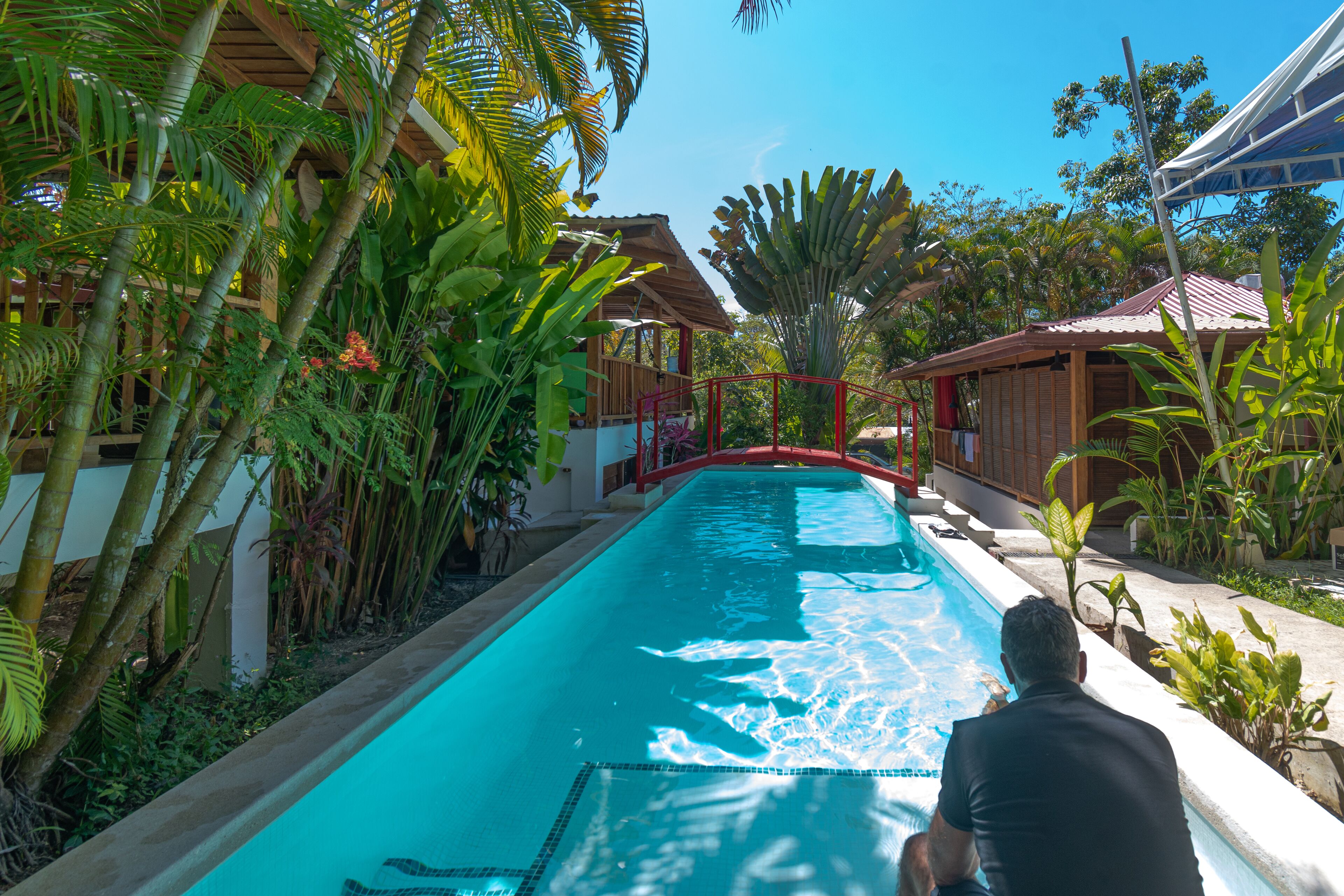 Una piscina rodeada de exuberante vegetación tropical y edificios de madera.