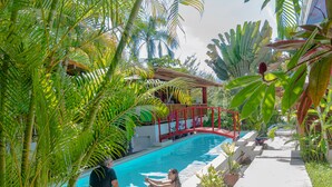 A swimming pool surrounded by lush greenery and a red bridge. - Seacret Villa (Cóbano)