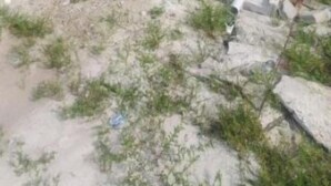Una casa de dos pisos con techo rojo y paredes amarillas, entrada con reja y camino de entrada pavimentado.