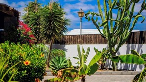 Un jardín con diversas plantas, entre ellas un cactus grande y una palmera, y una farola.