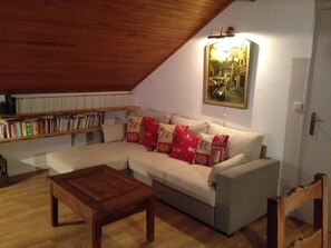 Télévision, lecteur de DVD, livres