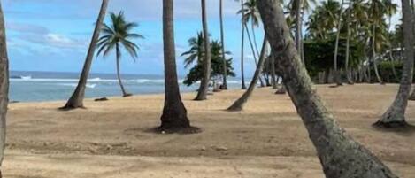 Nær stranden og strandhåndklær