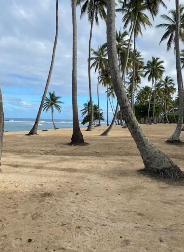 Una spiaggia nelle vicinanze, teli da spiaggia