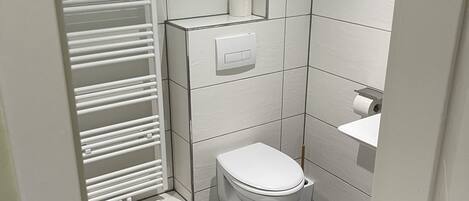 A small, modern bathroom with a toilet, a sink, and a shower.