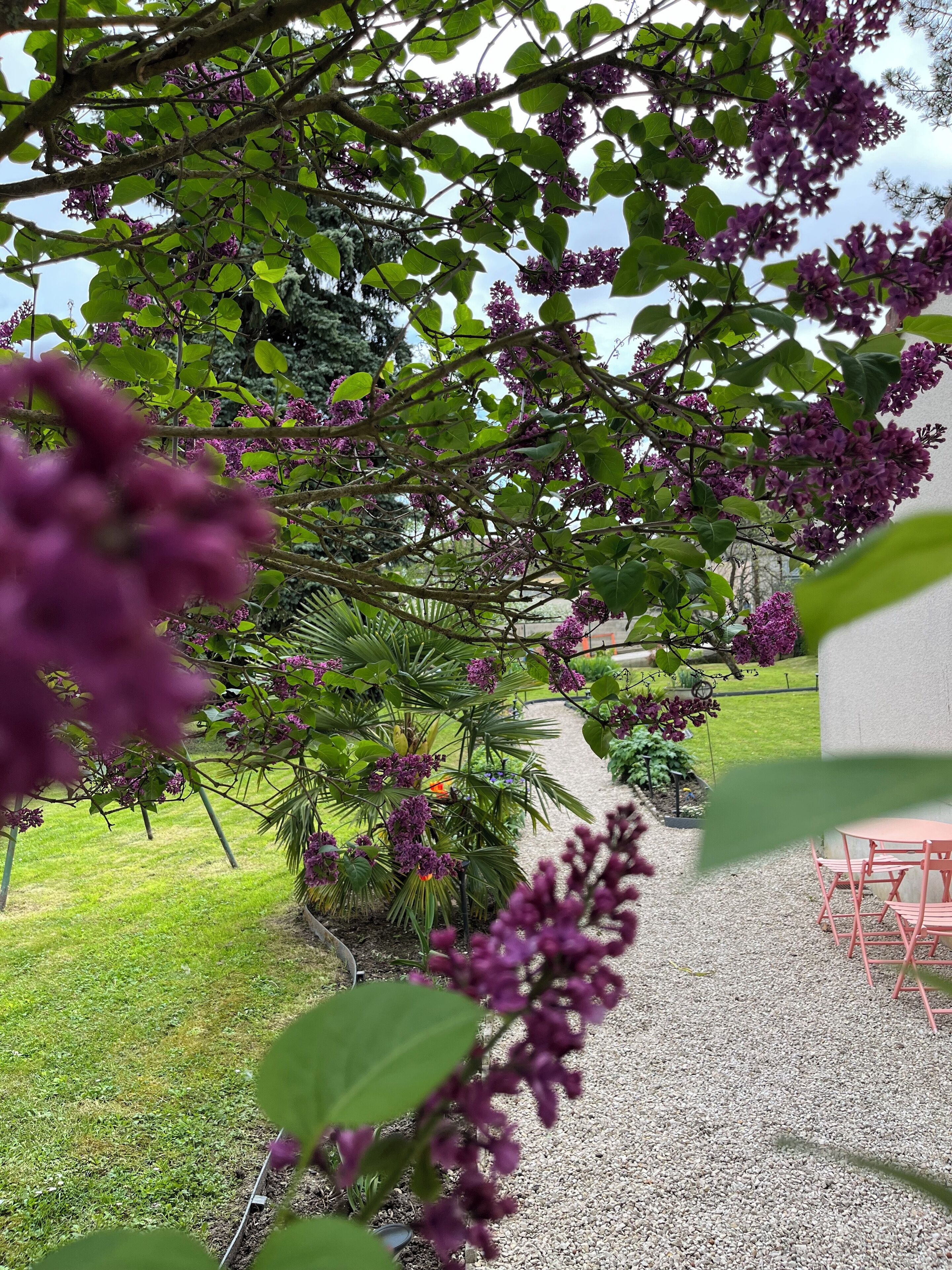 Enceinte de l’hébergement