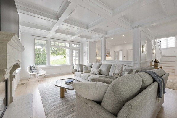 Smart TV, fireplace, books