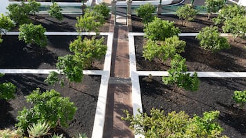 Jardín