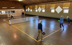Sports court - Lakeside 13BR house with Indoor Pickle Ball + Sauna, Lakeside Property with Indoor Pickle Ball! (Roosevelt Township)