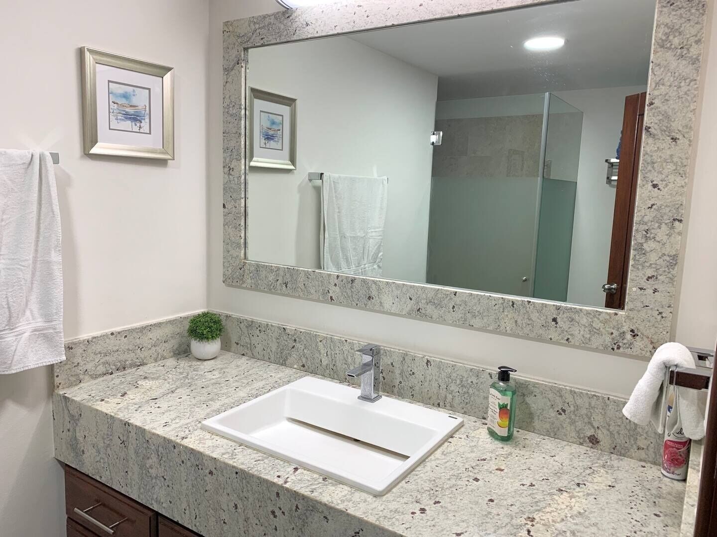 Un baño con un espejo grande, un lavabo blanco, una pequeña planta en maceta y cuadros en la pared.