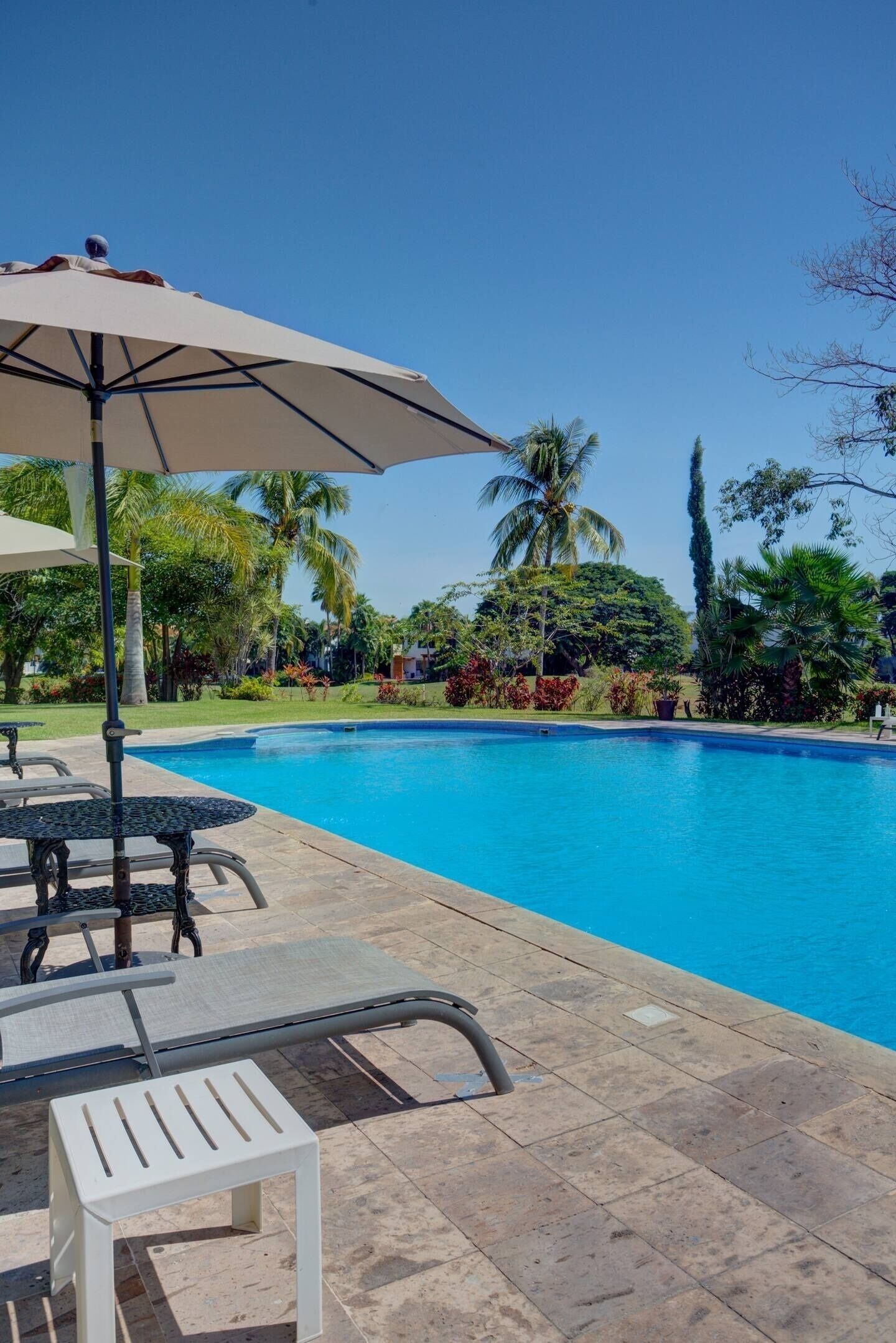 Una piscina con sillas de descanso y sombrillas, rodeada de vegetación tropical.