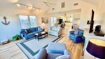 Smart TV, fireplace, books