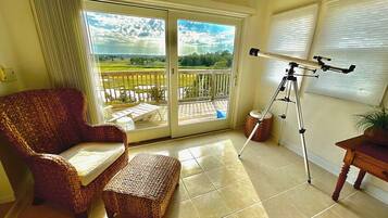 Smart TV, fireplace, books