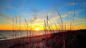 Une plage avec de hautes herbes au premier plan et un coucher de soleil en arrière-plan.
