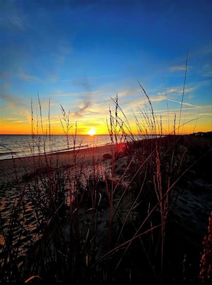 A beach with tall grasses in the foreground and a sunset in the background. - STEPS TO BEACH. PET-FRIENDLY. LINENS INCLUDED. (Milton)