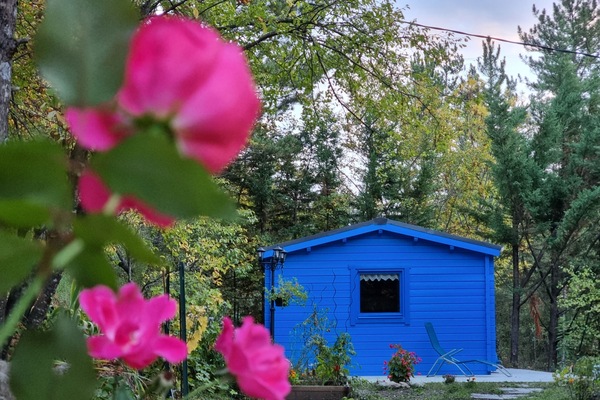 Bienvenue chez vous !