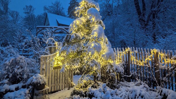 A snow-covered garden with a wooden fence, a snow-covered tree, and a house in the background. - Gemütliche Waldrandlage Badenweiler Sehringen (Badenweiler)