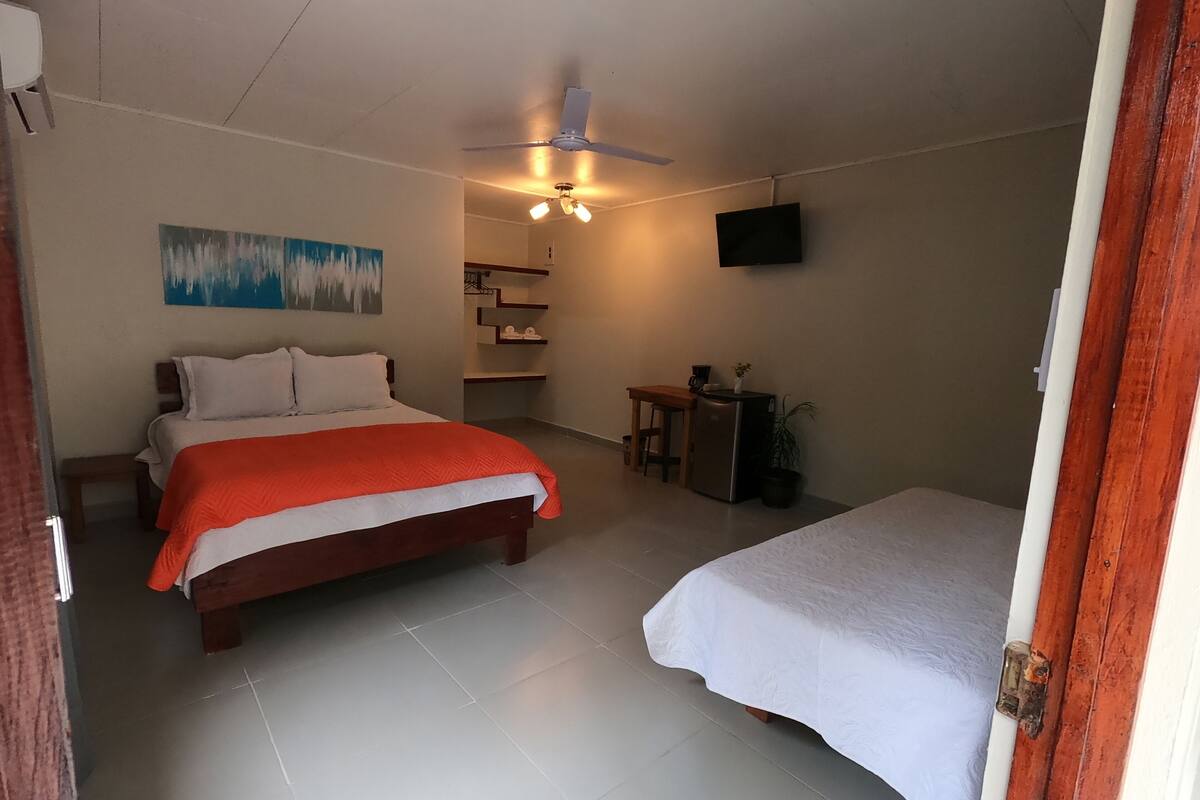 Een slaapkamer met twee bedden, een plafondventilator, een televisie, een schilderij en een kitchenette.