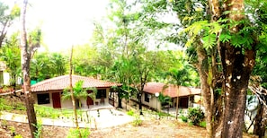 Exterior - El Sueño Tropical Hotel (Puerto Carrillo)