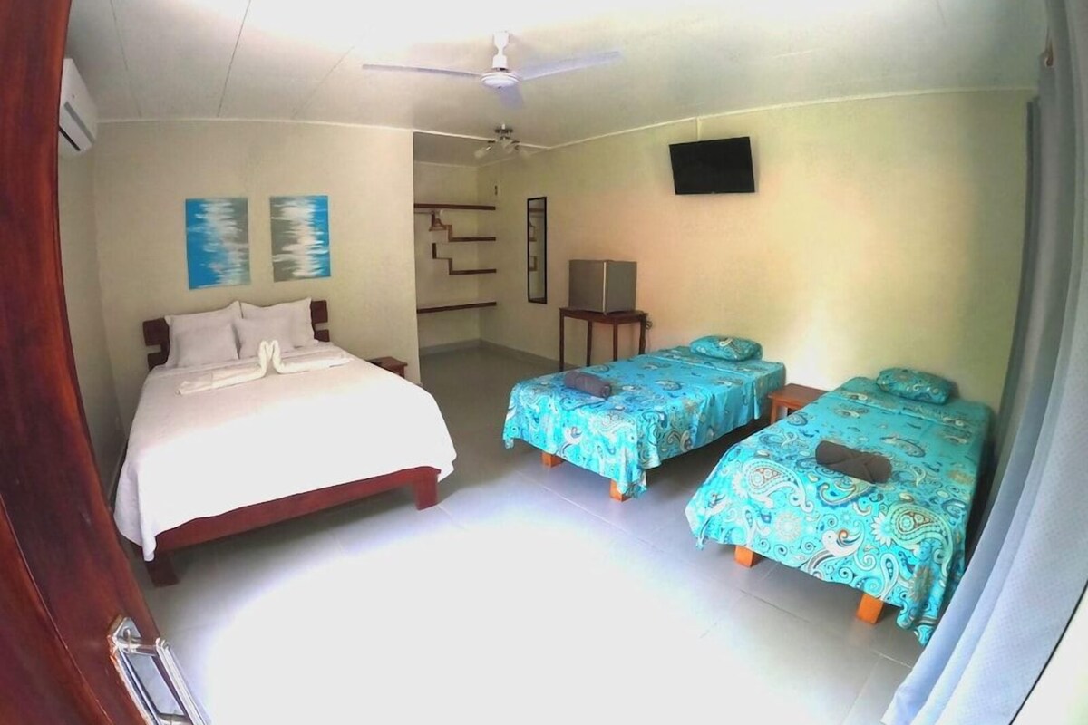 Pillow-top beds, in-room safe, blackout curtains, free WiFi