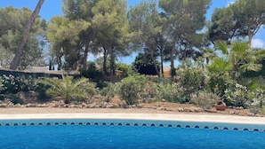 Ein Schwimmbecken mit klarer, blauer Wasseroberfläche, umgeben von verschiedenen Bäumen und Pflanzen, darunter hohe Kiefern und blühende Sträucher.