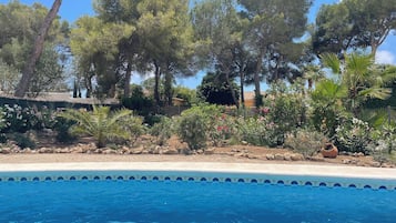 Piscina externa