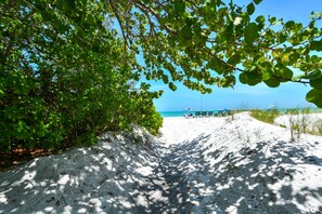 Plage, chaises longues, serviettes de plage