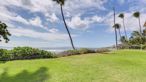 A grassy area with palm trees and a view of the ocean. - Maalaea Condo w/ Pool Access - Walk to Beach! (Wailuku)