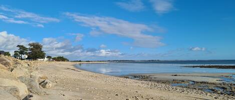 Plage à proximité