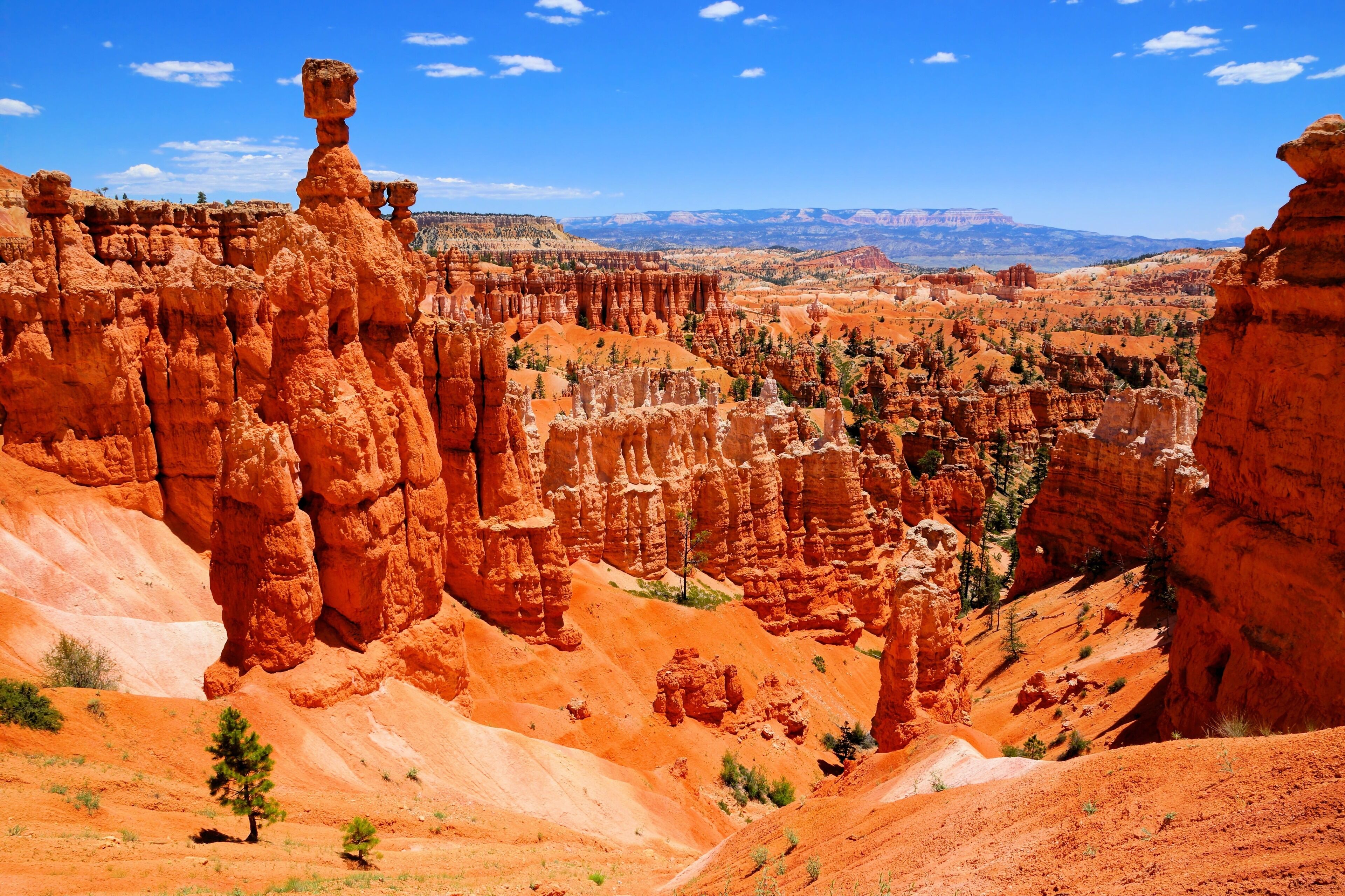 Een canyonlandschap met opvallende rotsformaties en schaarse begroeiing.