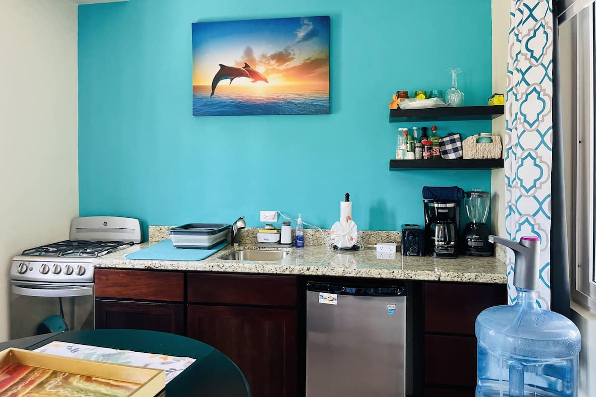 A kitchen with teal walls, a stove, a dishwasher, and a countertop with various appliances and items.