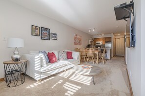 TV, fireplace, DVD player, books