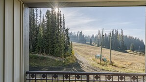 A view from a balcony with a metal railing, overlooking a dirt road and a forested area with tall trees. - Ground Floor Creekside Condo - great for hiking and biking! (Silver Star Mountain)