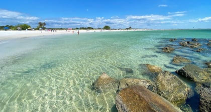 Palm Harbor Getaway • Salt Pool • Xbox • Near Beaches & Blue Jays