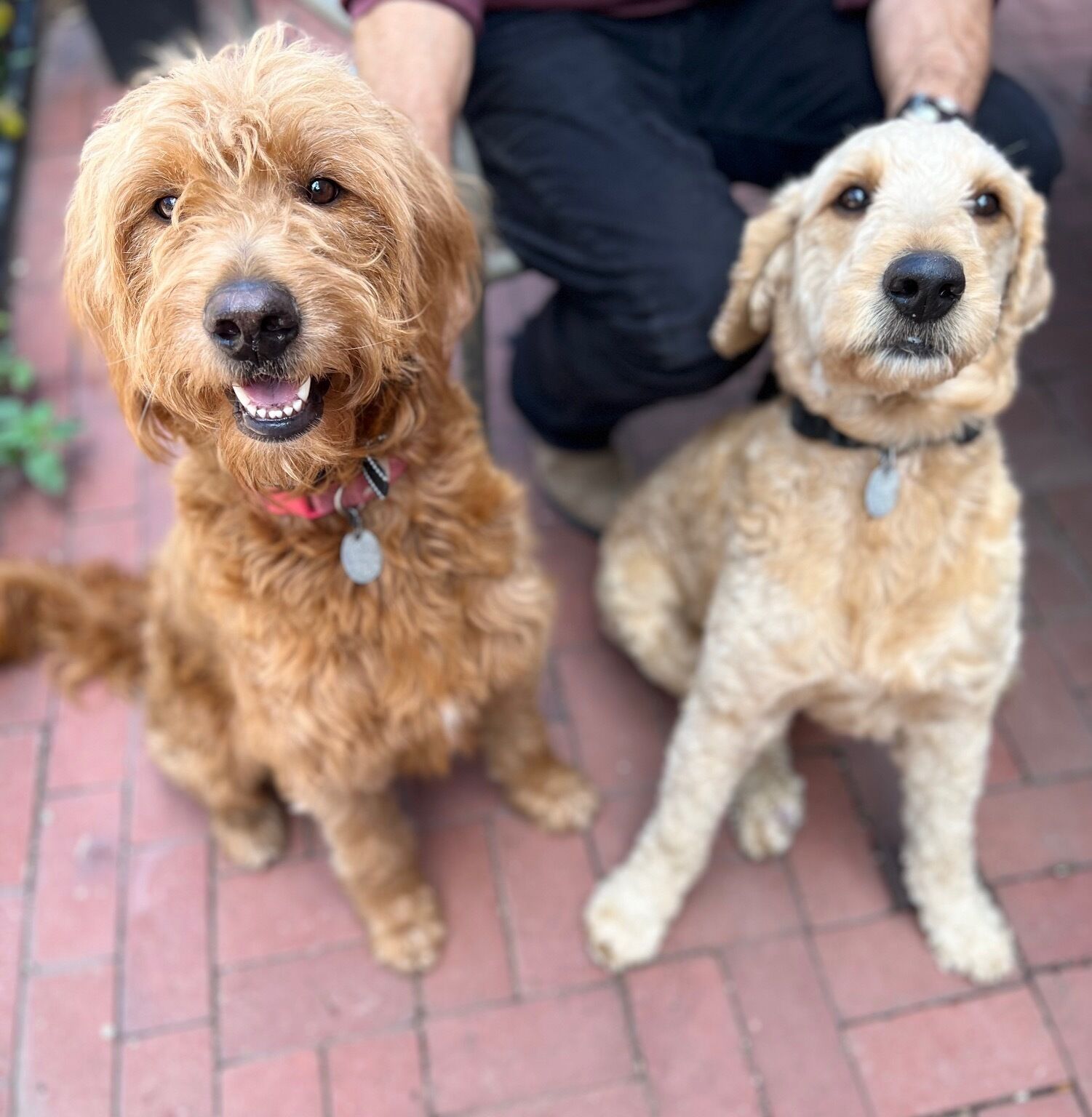 Foto - Off Broadway B & B