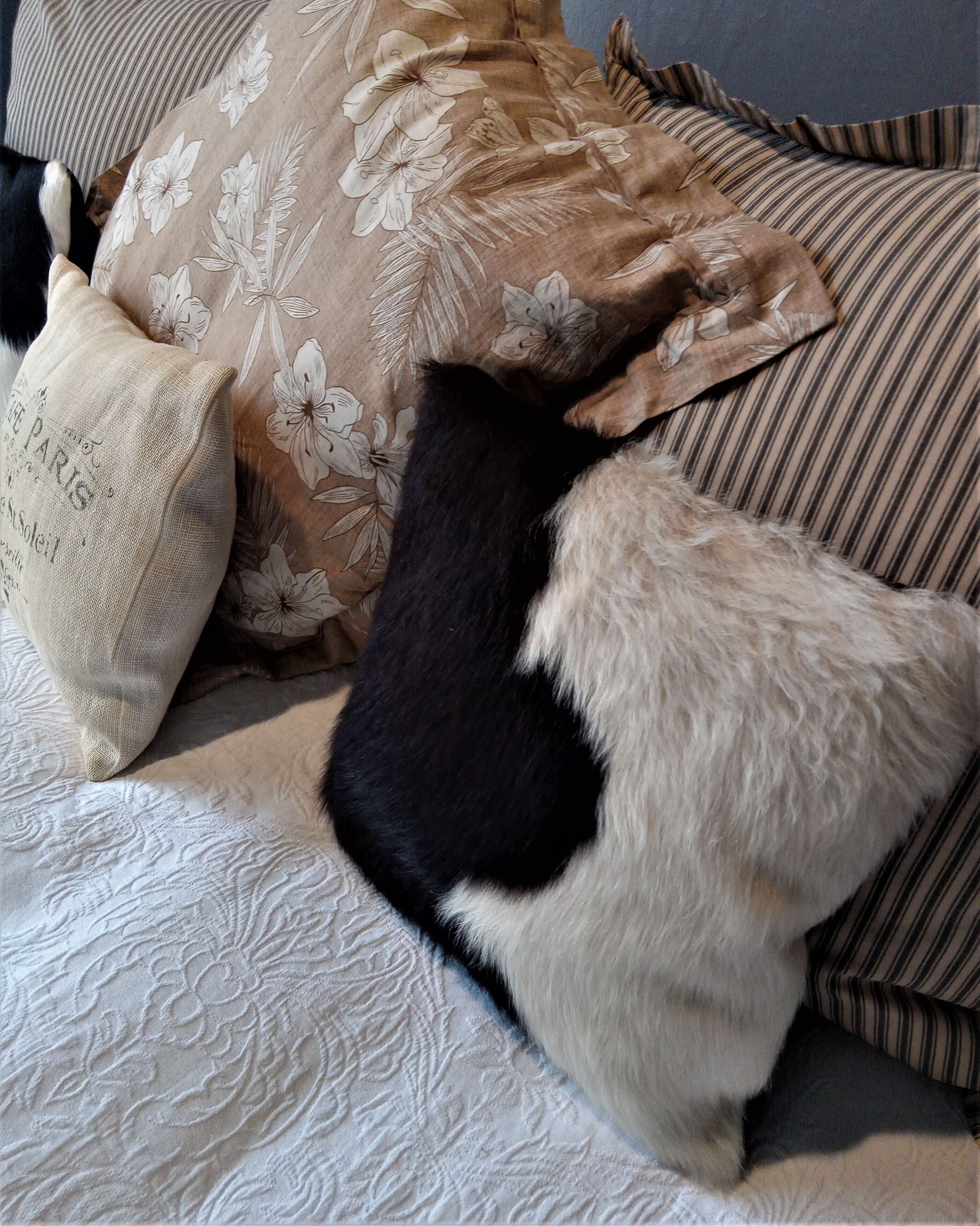 Foto - Off Broadway B & B