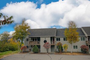 Exterior - Scenic year-round retreat with amazing mountain views & tennis courts (Bartlett)